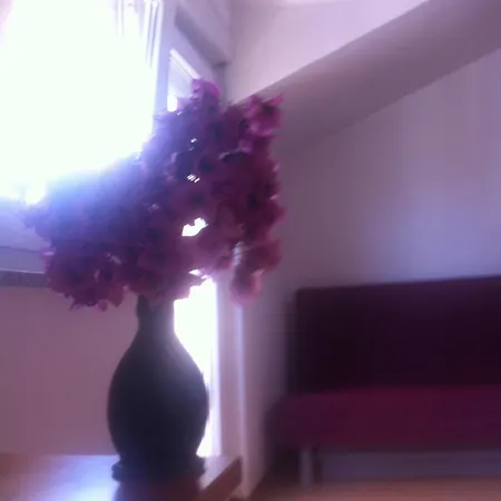 Juric Apartman Baška Voda